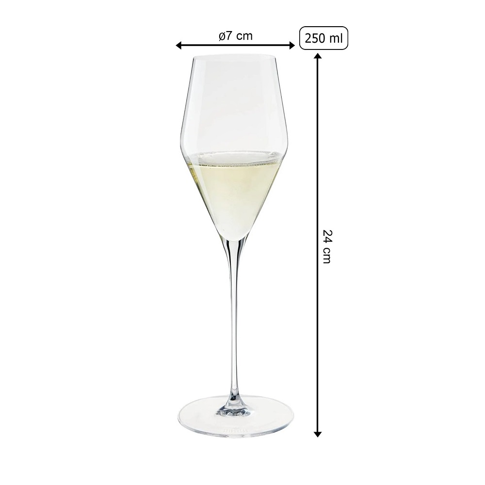 Spiegelau Definition Champagnerkelch 250ml (2er set)