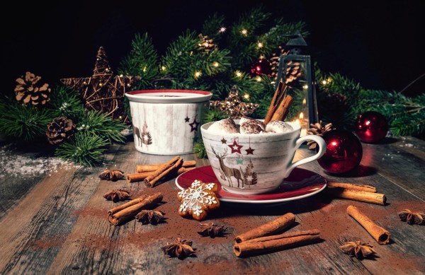 Seltmann Weiden Life Weihnachten Milchkaffeeobertasse 0,37l